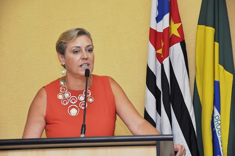 Projeto de Erika Tank, com parecer favorável da CCJR, cria o Banco de Emprego para a Mulher Vítima de Violência Doméstica e Familiar