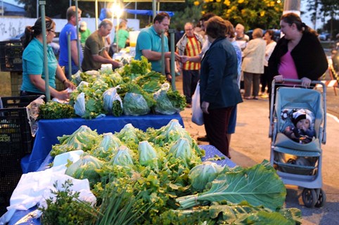 Feira do Produtor Rural: Indicações sugerem melhorias ao projeto que fomenta a agricultura familiar