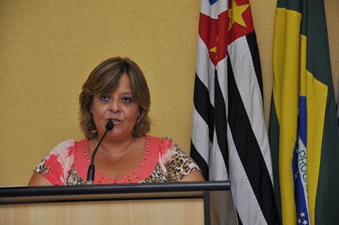Profª Érika Monteiro questiona criação de Vara Especial de Violência Doméstica e Familiar contra Mulher