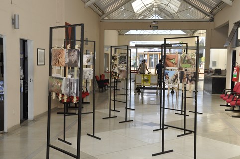 Exposição traça nova perspectiva sobre a natureza