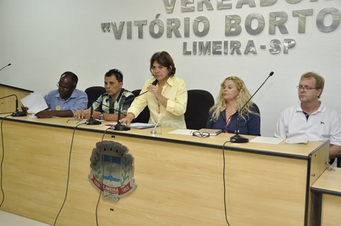 Audiência pública da dengue