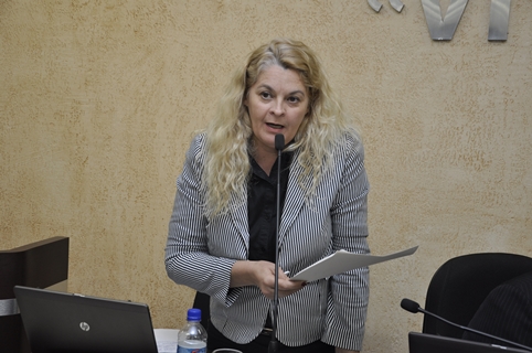 Lu Bogo sugere fiscalização em creches e brinquedotecas no município