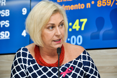 Projeto de Erika Tank prevê acessibilidade nos projetos de estacionamentos