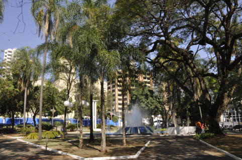 Câmara aprova projeto de arborização urbana do município
