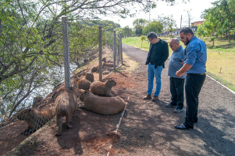 Dr. Marcelo Rossi propõe ação judicial para remoção de capivara