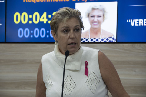 Preocupação com picadas de abelhas motiva requerimentos de Erika Tank