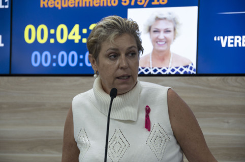 Aprovado projeto que garante táxi acessível em Limeira