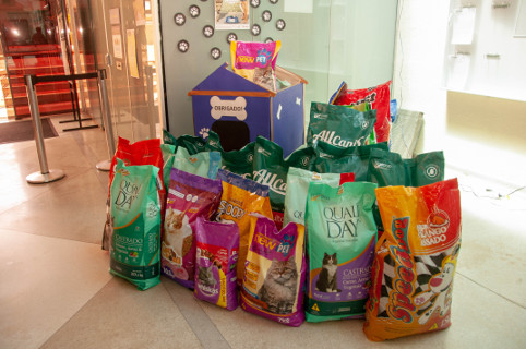 Câmara arrecada 300 kg de ração para cães e gatos 