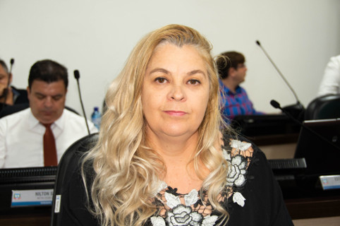 Lu Bogo pede informação sobre manutenção e troca de transformadores de energia