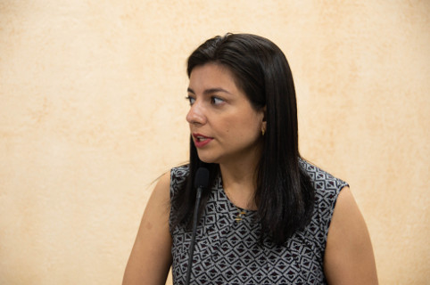 Carolina Pontes questiona Executivo sobre pneus utilizados para transporte público