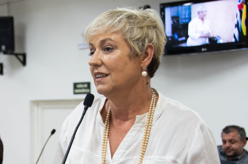 Erika Tank questiona previsão de veículos elétricos no transporte coletivo