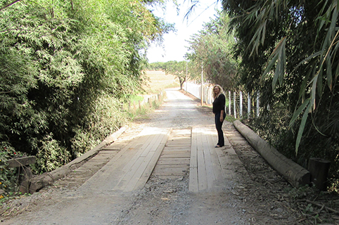 Estrada e ponte do Centro Rural do Pinhal recebem manutenção
