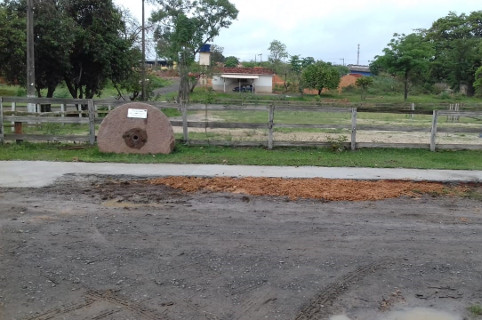 Dr. Marcelo Rossi recebe denúncias sobre novo local de equoterapia