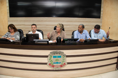 Gerentes da Viação Limeirense falam à CPI sobre a gestão da empresa