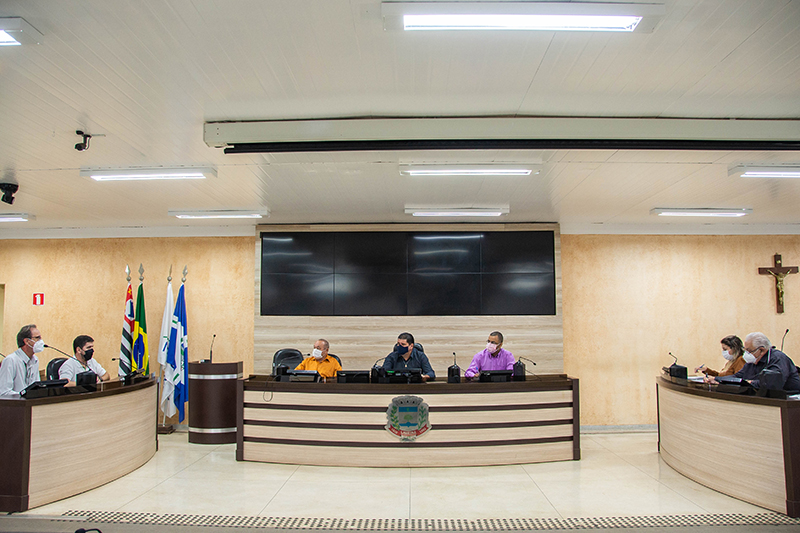 Poda de árvores e fiação elétrica é tema de reunião da Comissão de Obras