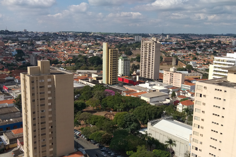 Câmara aprova realização de inventário sobre árvores da cidade