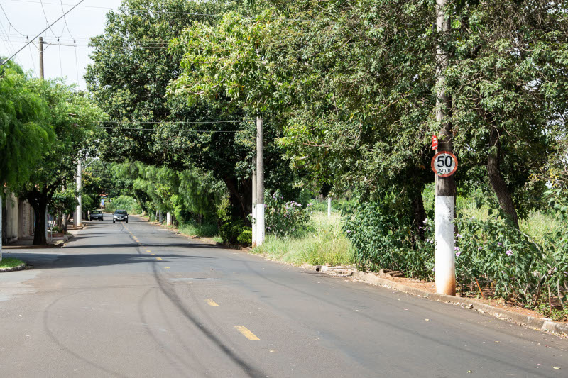 Comissão de Obras faz diligência na Avenida Prefeito Ary Levy Pereira