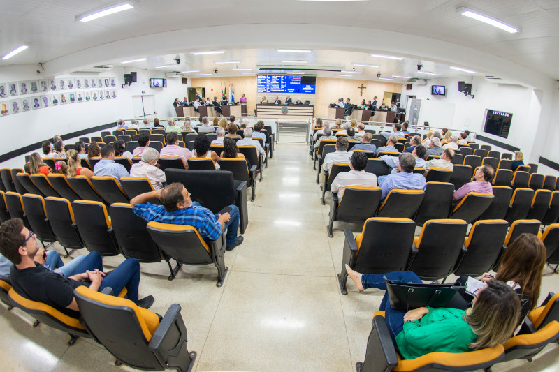 Vicente Pironti Neto recebe Título de Cidadão Limeirense