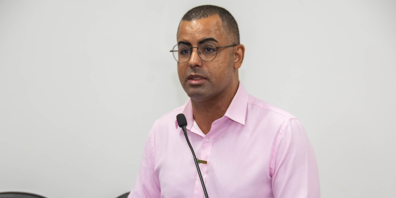 Projeto institui Semana Municipal da Mulher Negra na Câmara Municipal