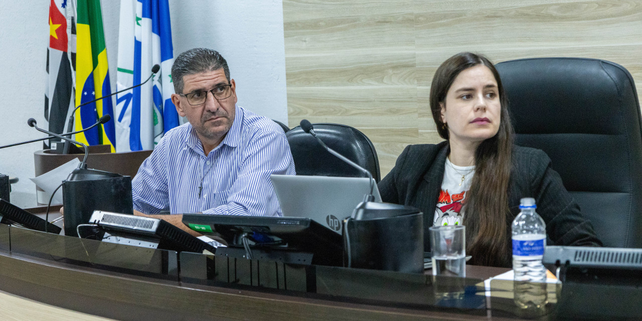 Declarações foram feitas durante reunião da Comissão de Meio Ambiente da Câmara