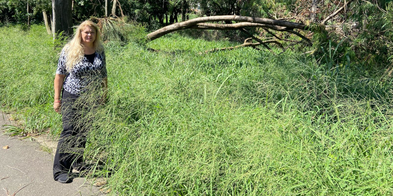 Lu Bogo protocola indicações para revitalização de área verde no Jardim Maria Buchi Modeneis