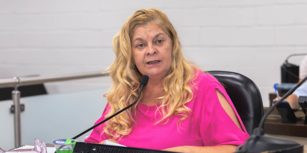 Vagas de embarque e desembarque de transporte escolar devem ter placa indicativa e sinalização de solo