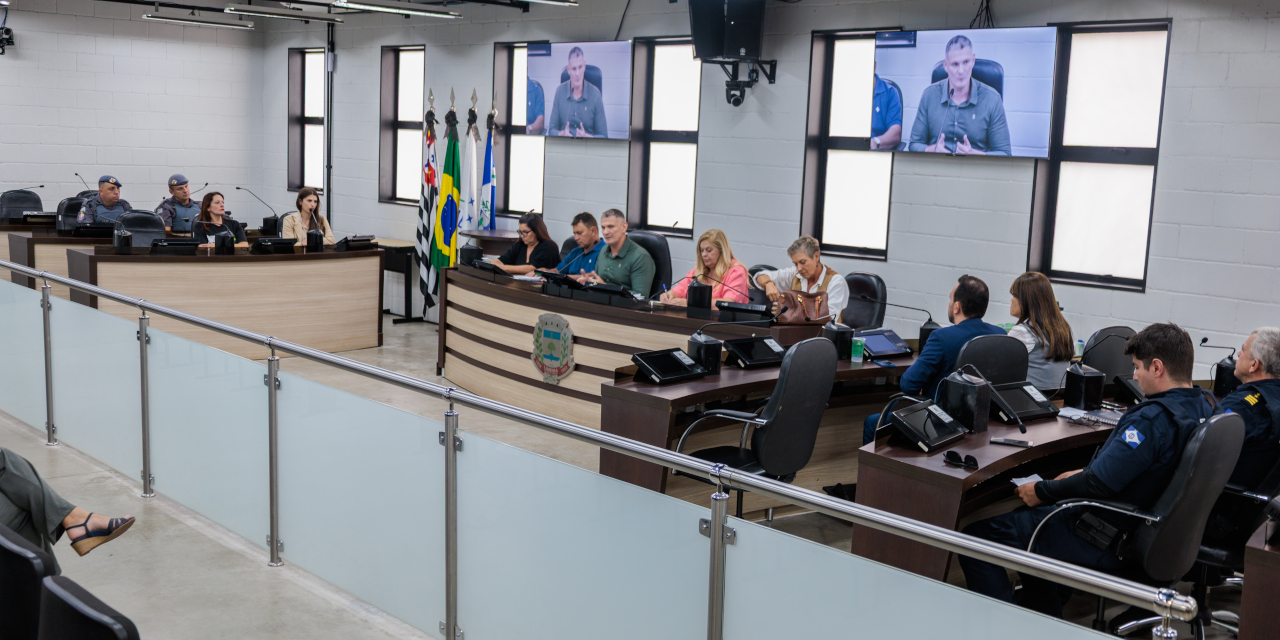 Comissão de Segurança aborda violência contra a mulher em reunião