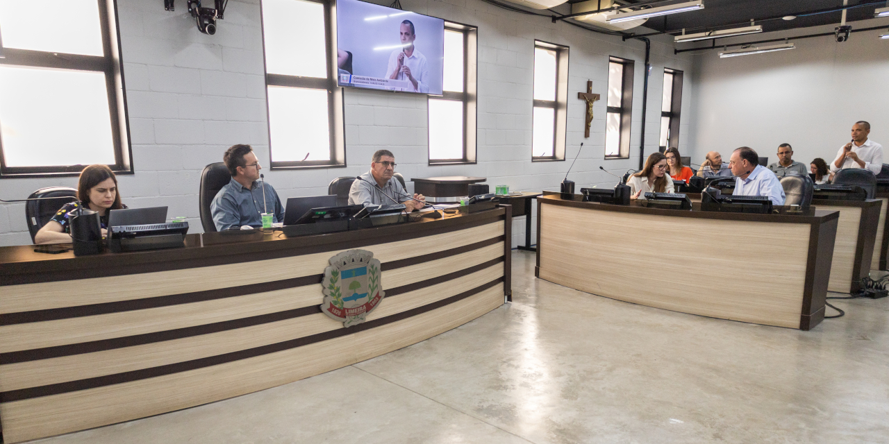 Ocupação de áreas públicas por comércios de alimentação em estruturas como food trucks, trailers e food bikes foi tema