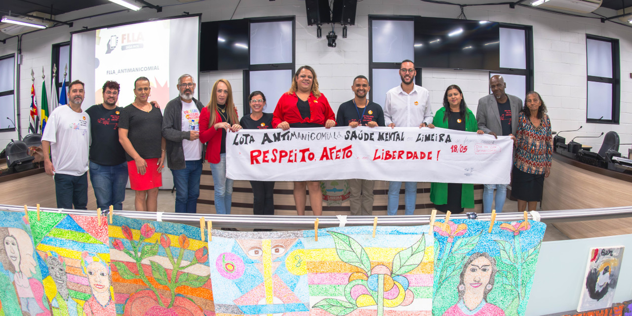 Seminário sobre a Luta Antimanicomial é realizado na Câmara