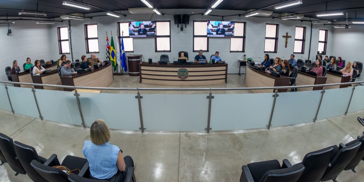 Comissão de Educação defende articulação intersetorial no desenvolvimento de crianças com TEA  