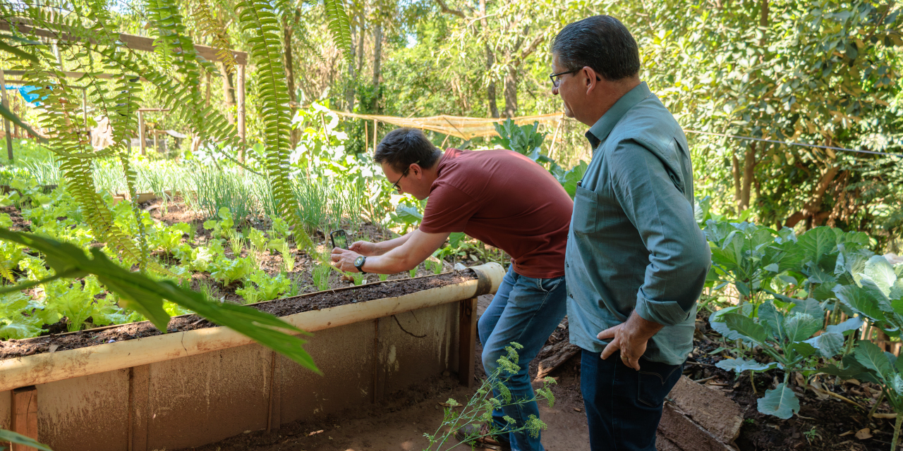 Moradores cuidam da limpeza da área; produção é compartilhada com escolas e comunidade