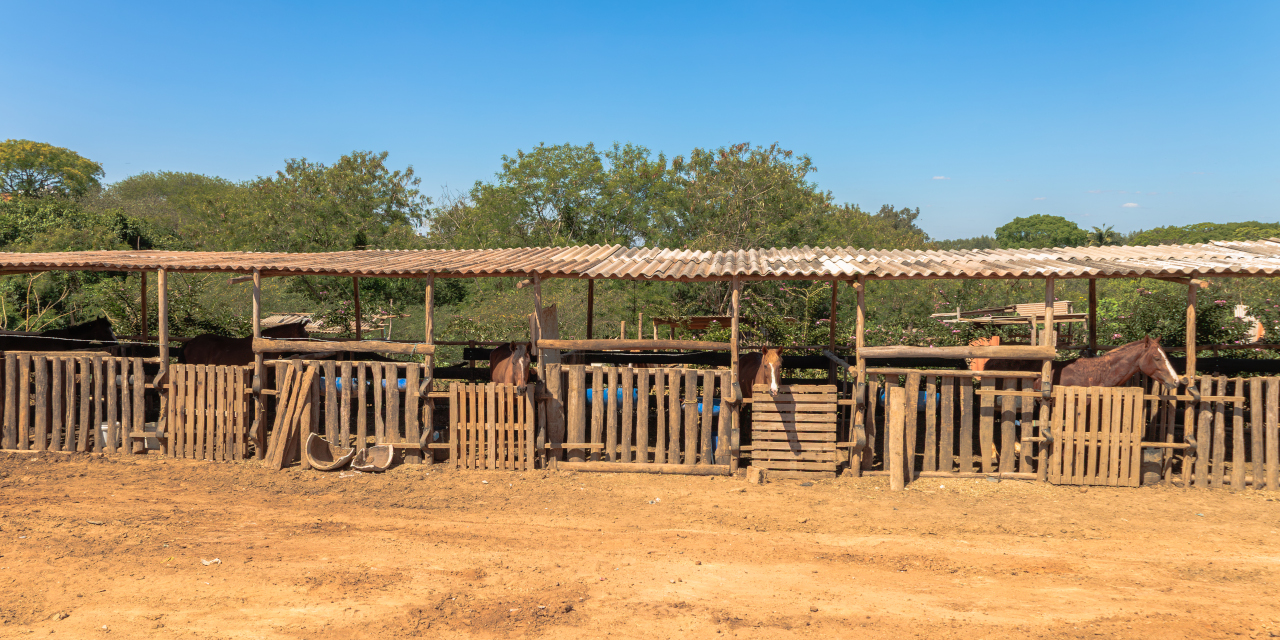 Nos bairros Ernesto Kuhl, Cecap, Lagoa Nova, Luiz Regitano, Santa Eulália e Geada há cerca de 200 conjuntos de cocheiras, que abrigam mais de 1200 cavalos