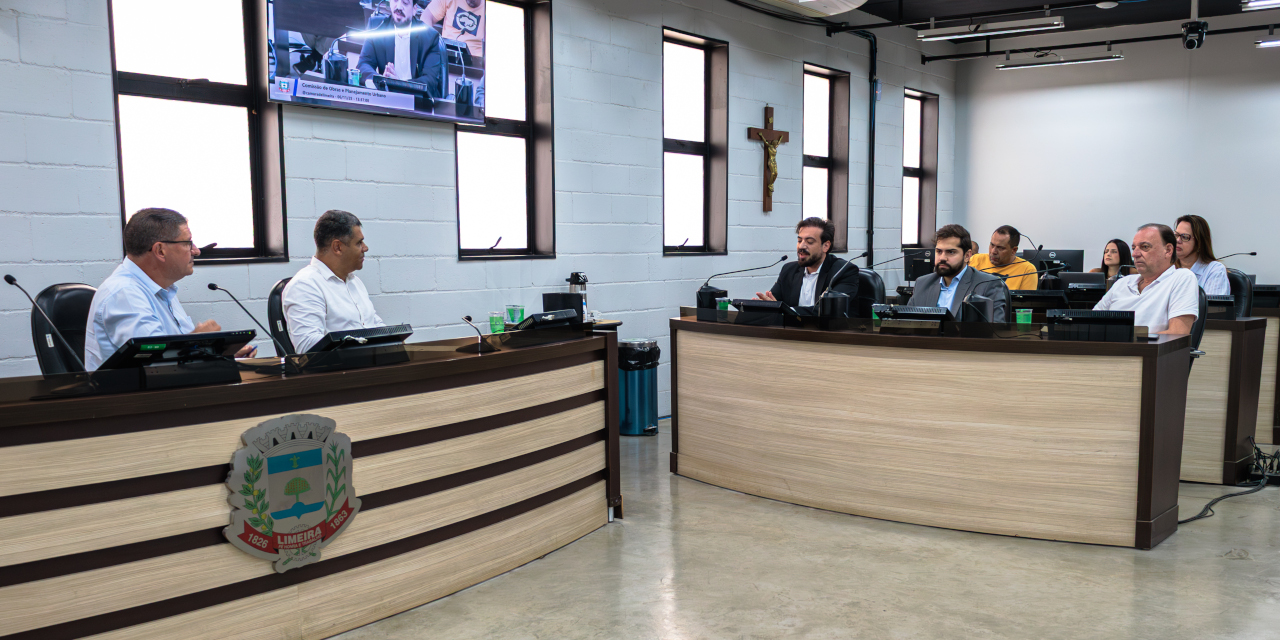 Iluminação pública e zeladoria urbana são debatidas em reunião da Comissão de Obras