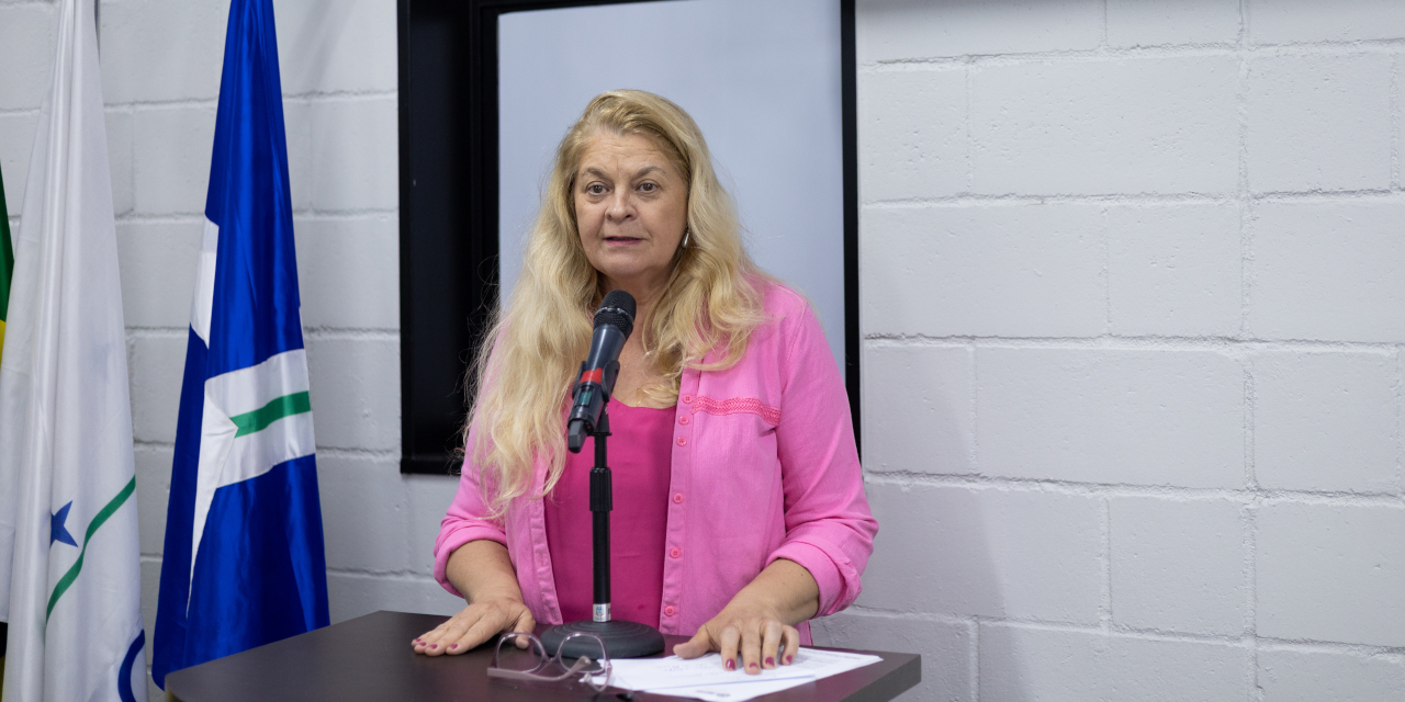 Lu Bogo propõe destaque das ações da Procuradoria Especial da Mulher no site da Câmara