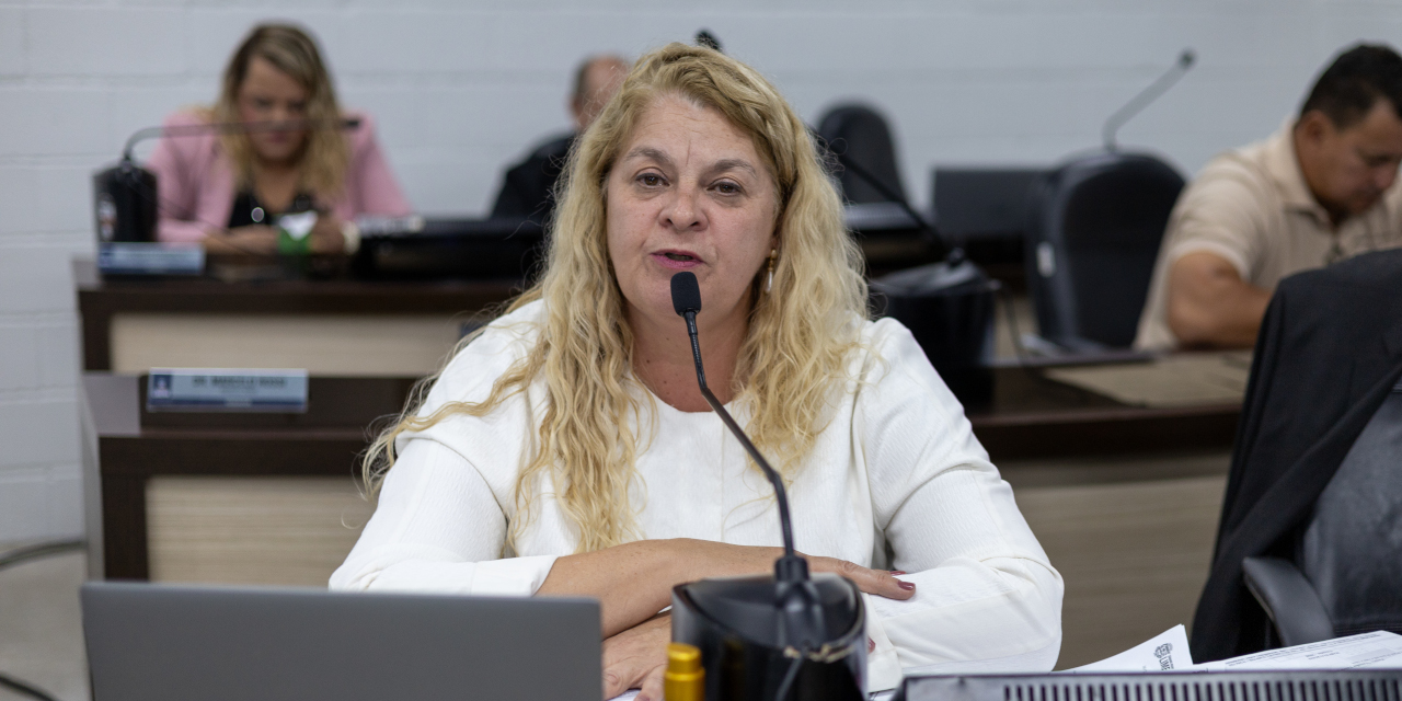 Lu Bogo solicita à Prefeitura informações sobre serviços de zeladoria nas galerias pluviais