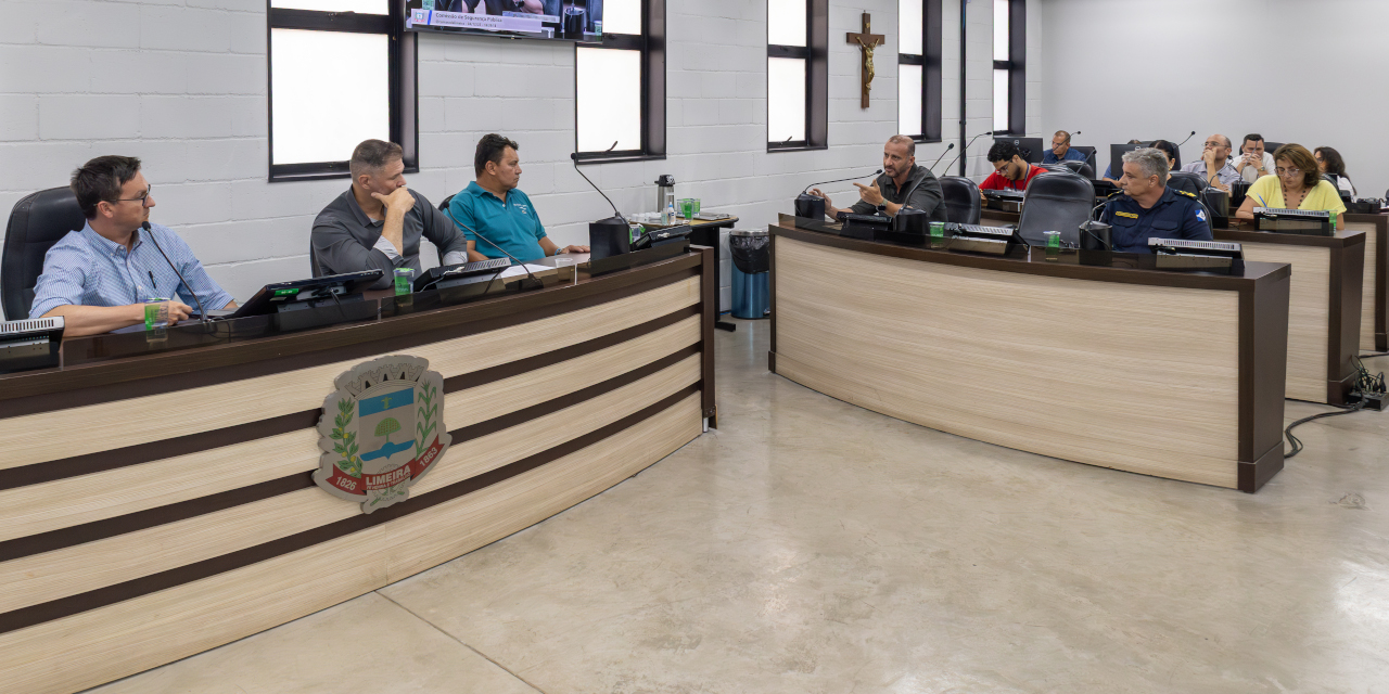 Comissão de Segurança Pública discute soluções para denúncia de perturbação de sossego no Ibirapuera