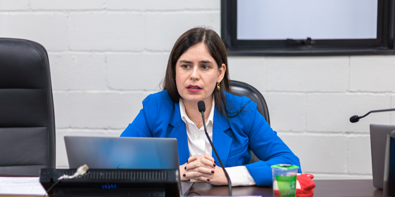 Animal não é coisa: Câmara aprova projeto que proíbe distribuição de animais como brinde