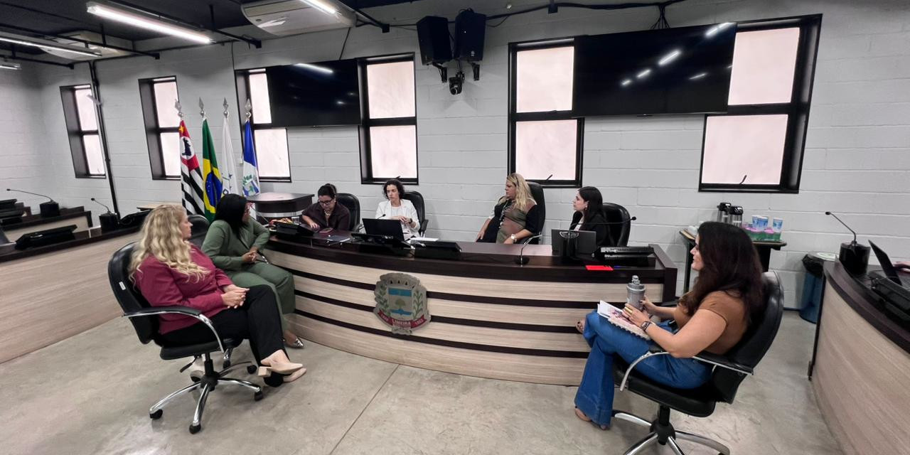 Comissão sobre Violência contra a Mulher é encerrada com diagnóstico e encaminhamentos