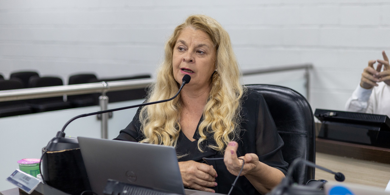 Lu Bogo questiona Prefeitura sobre programa habitacional Vila Dignidade 2