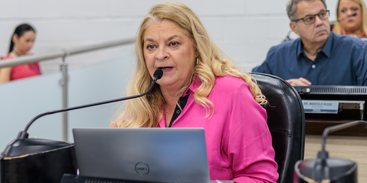 Projeto define diretrizes para ampliar transparência nas ações da Procuradoria Especial da Mulher