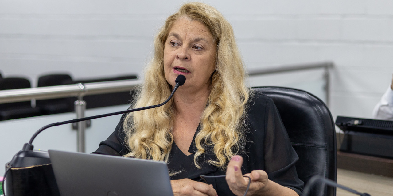 Vereadora Lu Bogo pede informações sobre casos de dengue