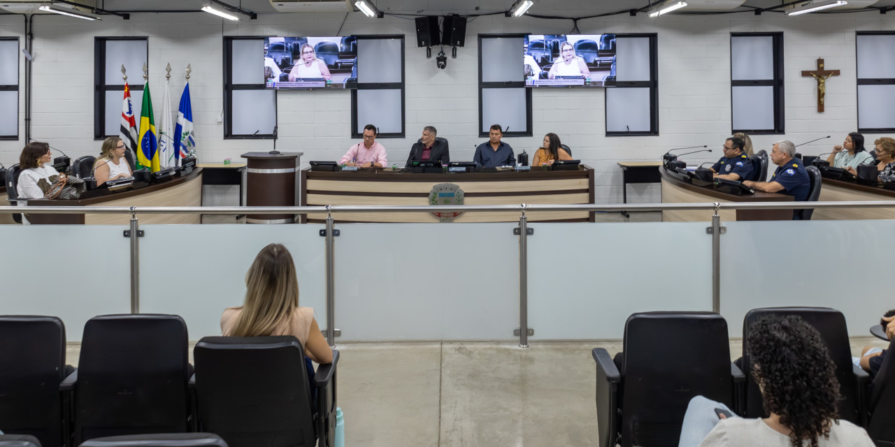 Atendimento e prevenção da violência contra a mulher são debatidos na Câmara
