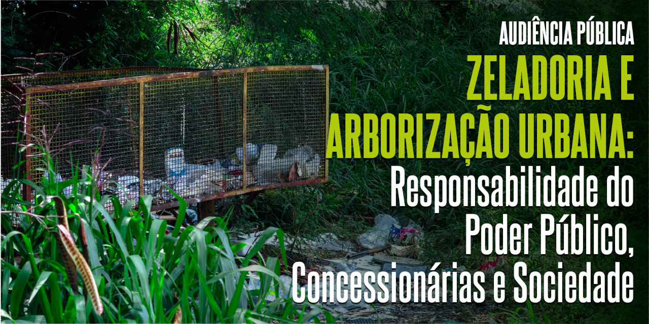 Audiência pública sobre zeladoria e arborização urbana em Limeira é nesta quinta-feira (9/4)