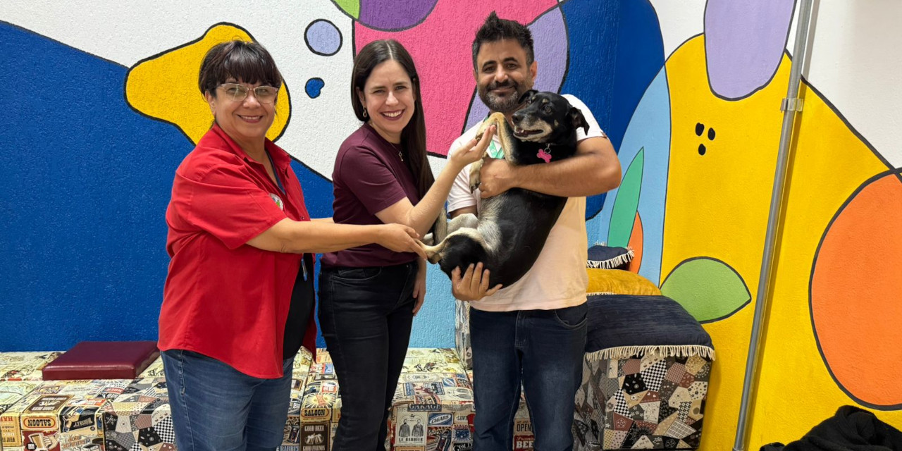 Tatiane Lopes se reúne com professoras da Unicamp para discutir proteção e direitos dos animais comunitários