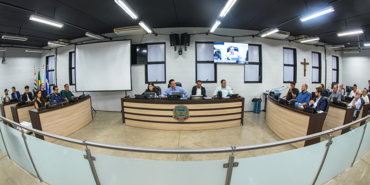 Zeladoria urbana e arborização: Comissão de Meio Ambiente realiza debate entre poder público e sociedade