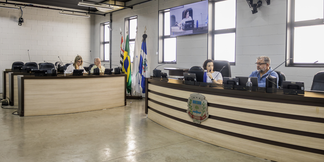 Comissão de Educação ouve o secretário Antônio Montesano sobre a fila da creche