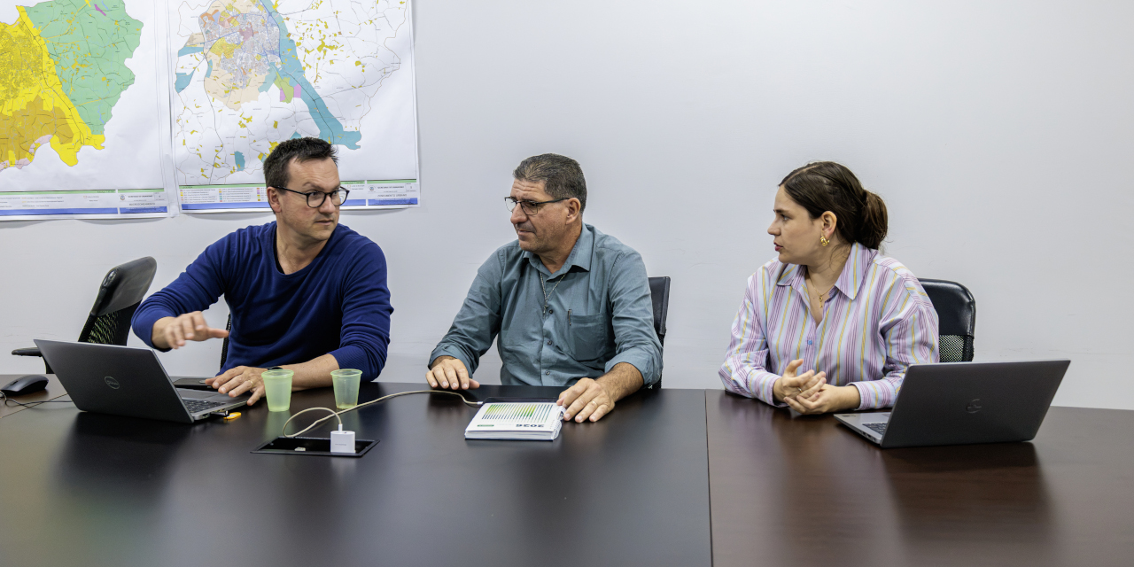 Comissão de Meio Ambiente questiona sobre fiscalização da poda de árvores realizada pela Elektro